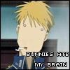 Bunnies-ate-my-brain